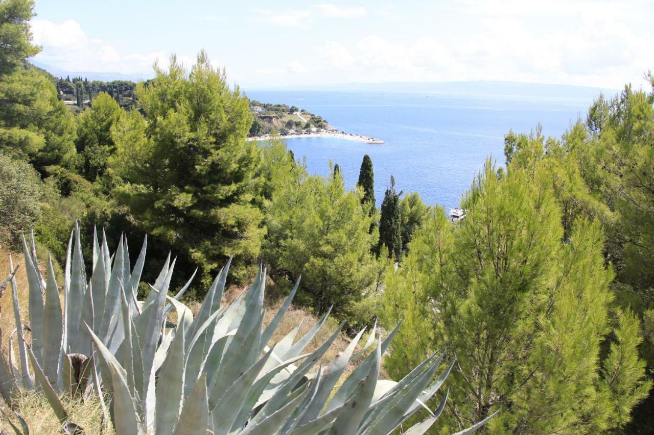 Beach Hotel Split Podstrana Dış mekan fotoğraf